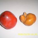 풍전농장 이미지