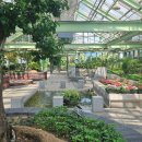 강원도립화목원 이미지