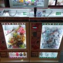 플레이포포베 이미지