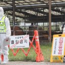 강원한우농장 이미지