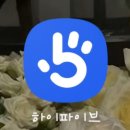 비전동 소로 2-49 | ​[평택/비전동] 체중 감량엔 역시 슬릭부스트🔥 타임피트니스 오운완 후기(내돈내산)