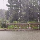 은현피싱타운 이미지