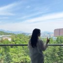 개모임 | 호강 제대로 하고 온 개모임(풀만 앰버서더 서울 이스트폴 호캉스 / 반얀트리 스파 29주차 임산부 후기)