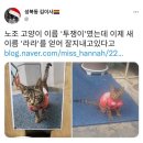 이창수 씨 이미지