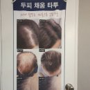 로브에스테틱