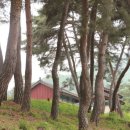 서면 월송3리 이미지