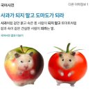 알로걸 | complicated