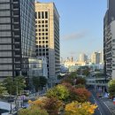 와룡공원길 | 서울 한양도성길 반코스만 갔다온 서울단풍투어 🍁 (트레일러닝코스 추천) 숭례문-혜화동