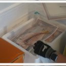 제주생갈치 이미지