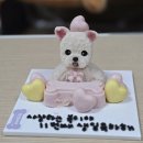 댕댕이네 | 천안 강아지케이크 두정동 펫푸드 댕댕이네 내돈내산