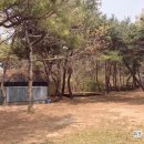 영흥도 캠핑장 추천 명성가족캠핑촌 차박 후기