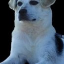 해삼농장 이미지