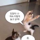 월령상점