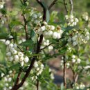 가마골농장 이미지