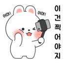단디공인중개사사무소 이미지
