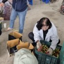 낙천농장 이미지