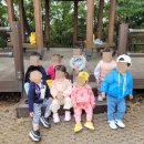 염창어린이집 네이버블로그