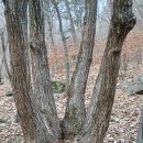 서운 북산리 석조여래입상 | 서운산(瑞雲山, 547m, 2026.2.14., 경기 안성)