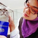 Passport control for pets 애완동물의 패스포트 이미지