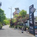 분당-366 이미지