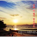 솔섬 이미지