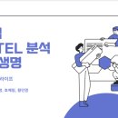 생명산업 | [KUSEA 산업분석 후기] 보험 산업 분석 / 삼성생명