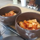 콩가내 이미지