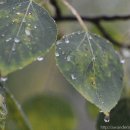 킹 당구클럽 이미지