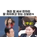 머리대통령 이미지