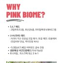 뉴핑크화장품 이미지