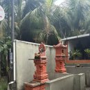 빅보스치킨 | 발리 스미냑 맛집 와룽 빅보스 Warung Big Boss 미고랭 나시고랭