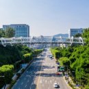 야산마을진입로 이미지