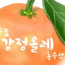 강정올레농수산