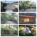 갈맷길(9코스) 이미지