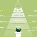베란다 텃밭 빛 보충을 위한 LED 식물생장등 고르기(+풀나옴LED바 설치후기)