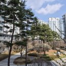 새마을부동산중개사사무소 이미지