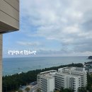 르컬렉티브속초해변 | [속초 숙소 추천] 르컬렉티브 속초해변 | 파셜오션뷰 후기