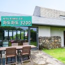 하도하도3200 이미지