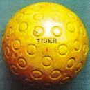 에프와이에스 골프 이미지