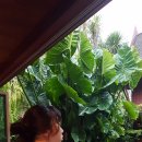 버터 플라이짐 이미지