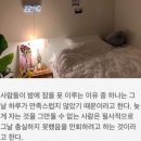 그루잠 이미지