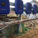 금성 태양광발전소 이미지