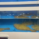 또또회수산 이미지