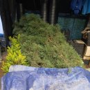 순화농장 이미지