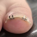 누빌샵1 이미지