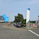 바푸리숯불김밥원동점 | 진해 군항제 주말에 가도 될까? 블루라인 셔틀버스 타고 초등아이와 다녀온 후기