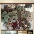 김종군농장 이미지