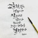 캘리그라피 초급 이미지