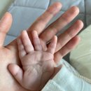 기쁨이네 분식 | 울꼬망시랑 제주여행