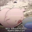 설쌈